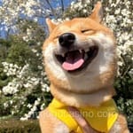 Avatar de Fátima Camacho